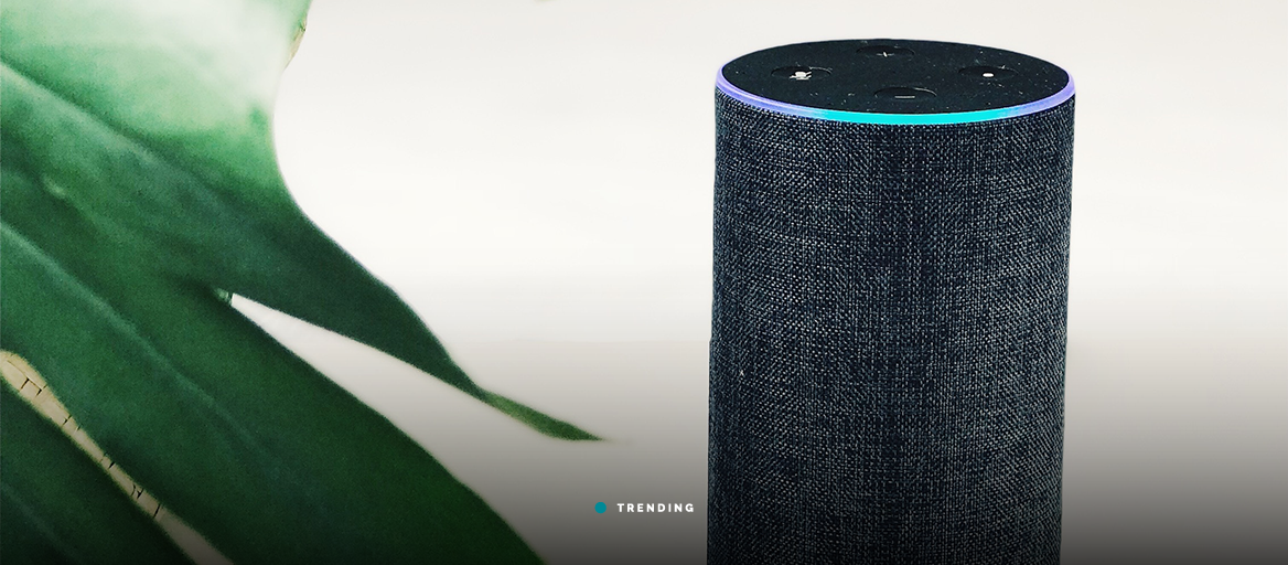 hue party for amazon echo
