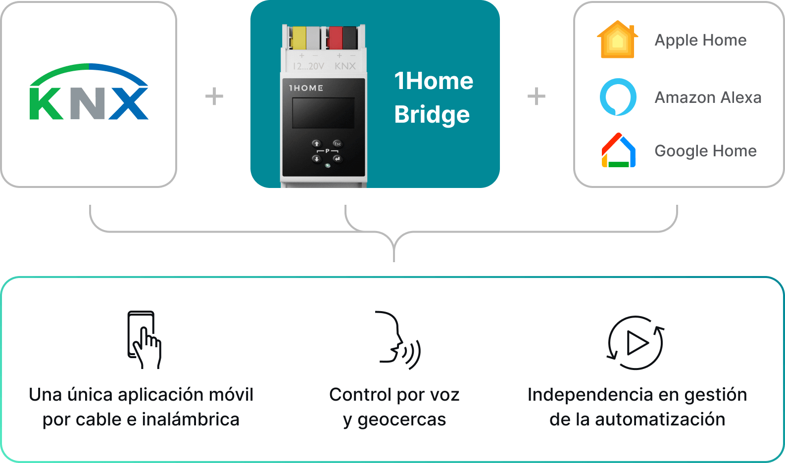 Obtén lo mejor de ambos mundos con 1Home